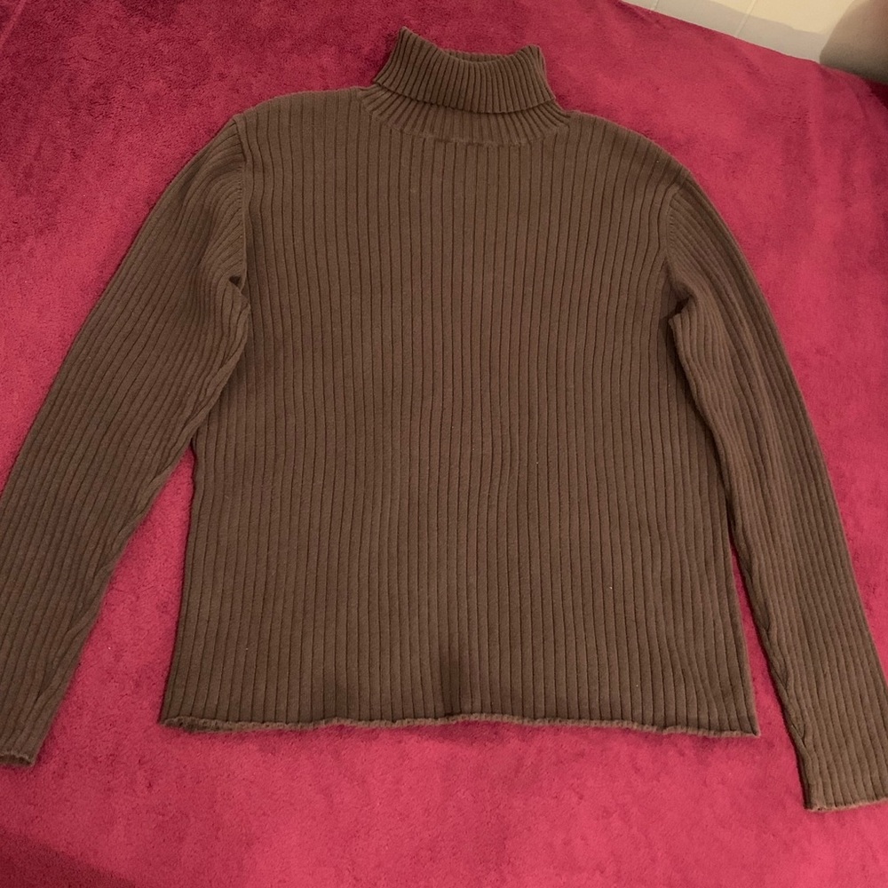 Brown turtleneck long sleeve